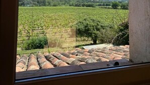 Une vue sur un vignoble, prise à travers une fenêtre, avec un ciel dégagé.