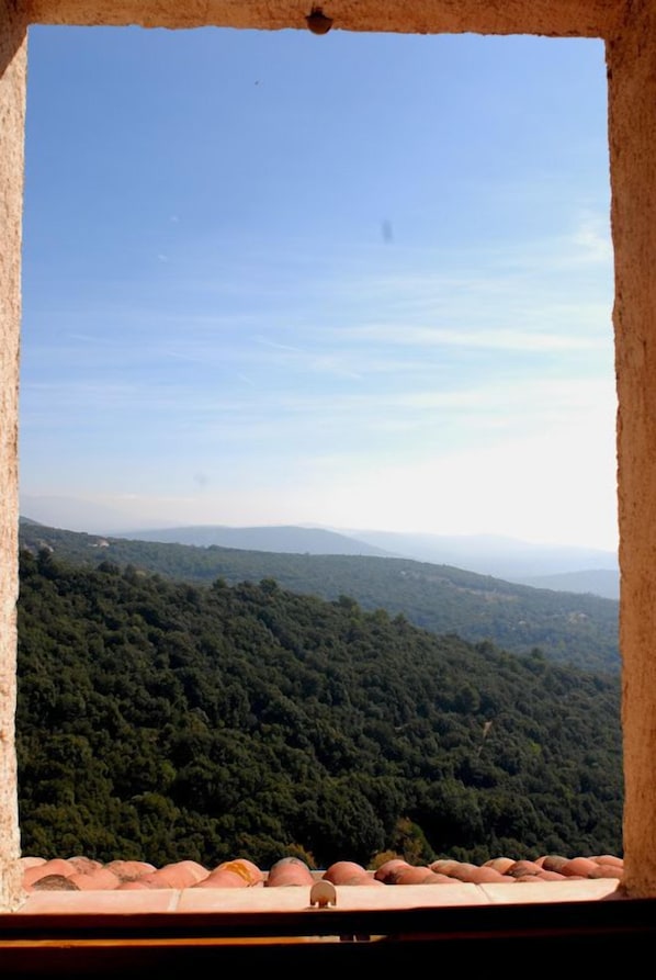 A view through a window of a terracotta-tiled roof, overlooking a forested hillside.