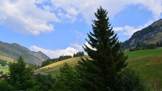 A scenic mountain landscape with a prominent evergreen tree in the foreground, a wooden deck, and a distant view of a valley with houses. - Cozy studio in Chinaillon, close to slopes and shops (Le Grand-Bornand)