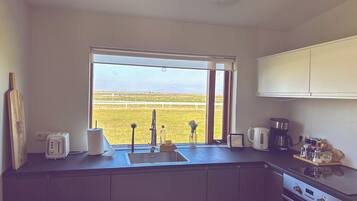 Panoramic Apartment, 1 Queen Bed with Sofa bed, Non Smoking, Mountain View | Private kitchen