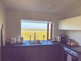 Panoramic Apartment, 1 Queen Bed with Sofa bed, Non Smoking, Mountain View | Private kitchen