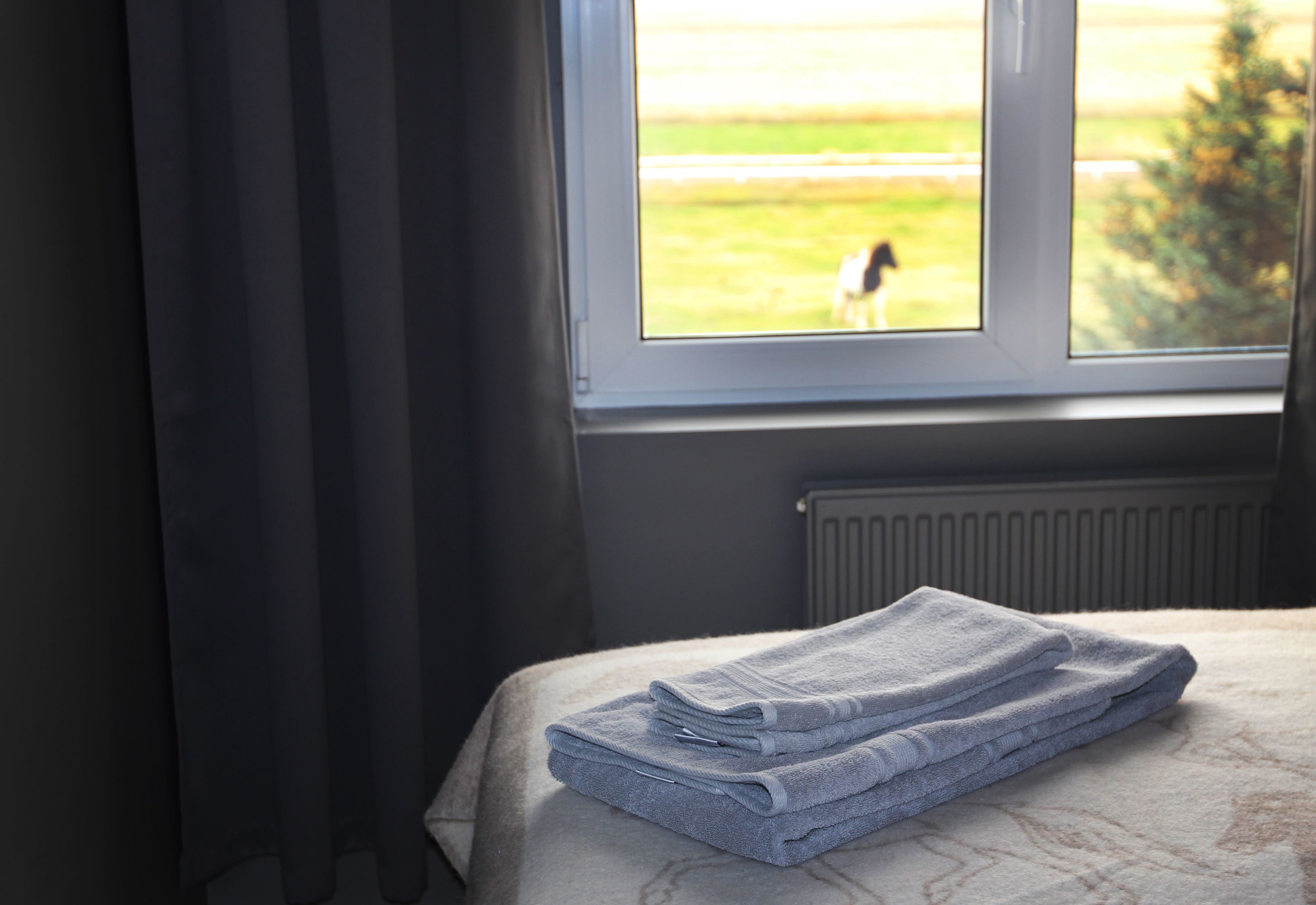 A neatly made bed with folded towels, a window with a view of a horse, and a radiator.