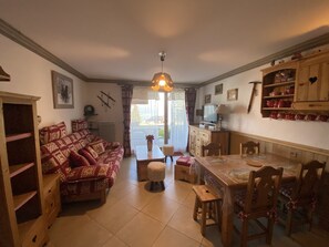 تلفزيون، مشغل دي في دي