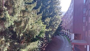 Ein Weg, gesäumt von hoch aufragenden immergrünen Bäumen, führt zu einem roten Gebäude mit zahlreichen Fenstern und Balkonen.