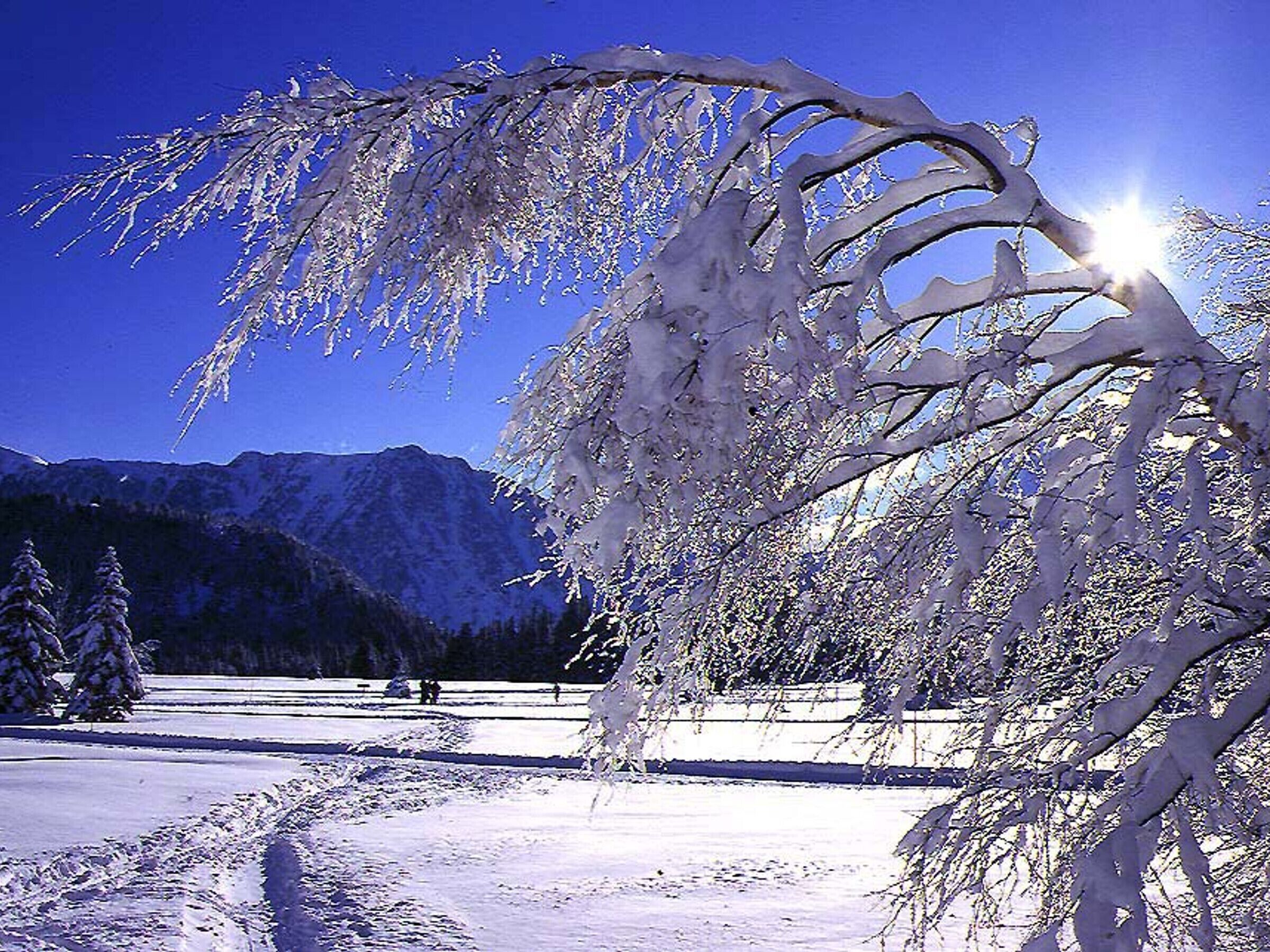 Paisagem coberta de neve com céu claro e montanhas ao fundo.