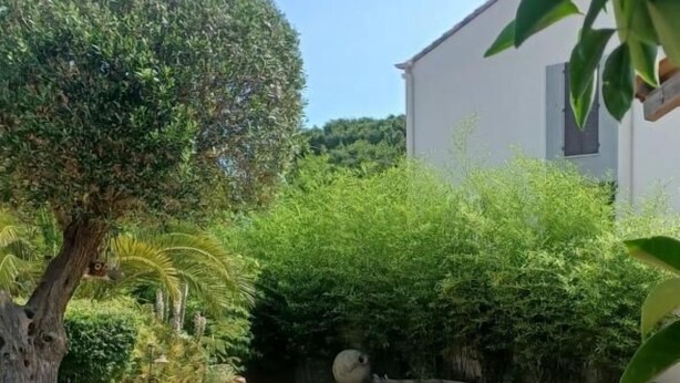 A garden with a dirt path leading to a white building. - Leï Bugadiero - LA CROIX VALMER (La Croix-Valmer)