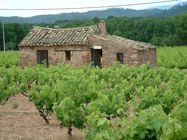 Exterior - Bastide Les Espérifés - VIDAUBAN (Vidauban)