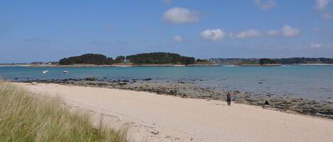 بالقرب من الشاطئ