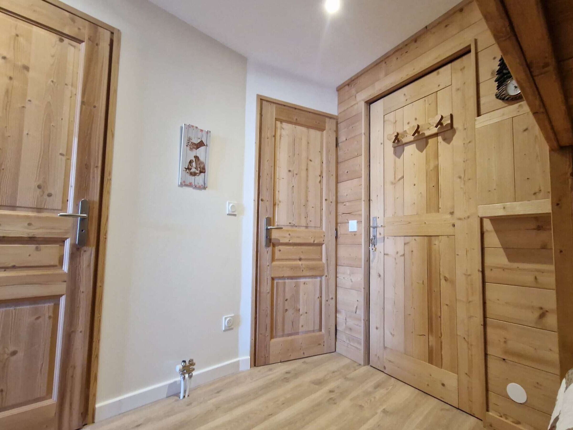 A room with wooden doors, a small picture on the wall, and a light switch.