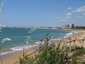 Playa en los alrededores 