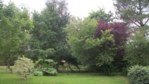 Un parc avec différents types d’arbres et une zone herbeuse.