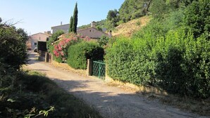 Camino rural que conduce a una casa rodeada de abundante vegetación y un cielo azul despejado.