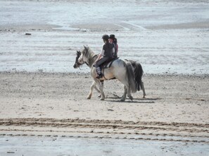 A person riding a horse on a sandy beach. - Homerez - House near Chanteloup. (Le Pont Cagnon Chanteloup)