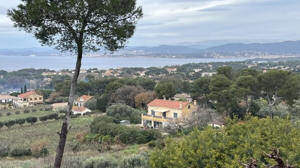A coastal town with houses surrounded by greenery and a view of the sea.