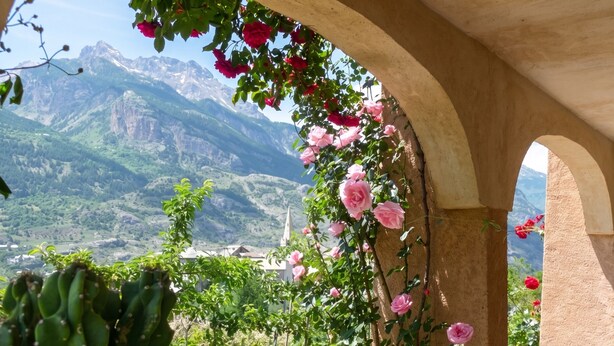 A garden with roses and a cactus, a stone archway, and a mountain view. - Homerez - Apartment in Saint-Crepin (Saint-Crepin)