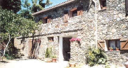 Campagne le bas Bérard G1391