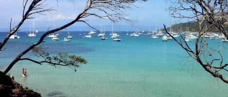 Strand