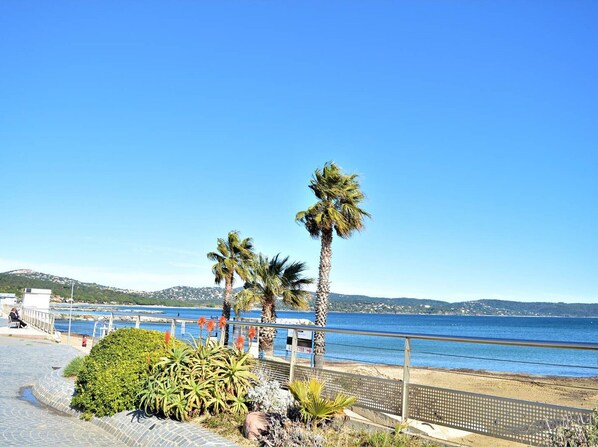 Stroll along the paved promenade, taking in the breathtaking views of the sea and distant hills, surrounded by lush greenery and palm trees.