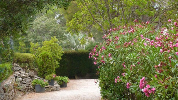 A garden pathway with a gravel surface, surrounded by various plants and trees. - Villa L'abri Cotier - Sainte-maxime (SAINTE MAXIME)