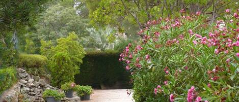 Áreas de la propiedad