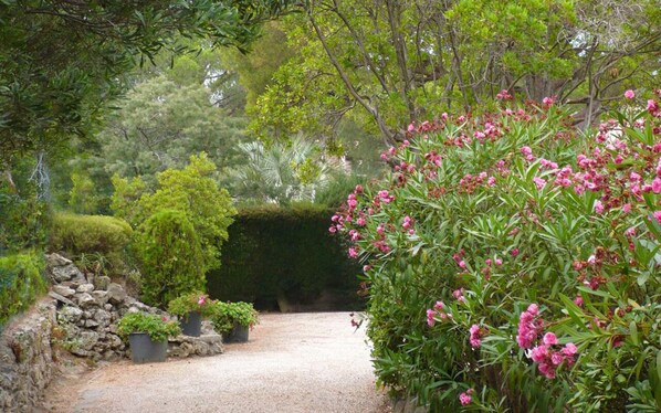 Áreas de la propiedad