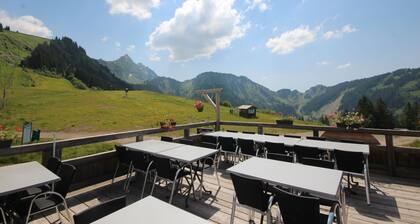 STUDIO APARTMENT IN THE HEART OF THE SKI RESORT - SAINT JEAN D'AULPS SKI RESORT -4 PEOPLE - PANORAMIQUE 26