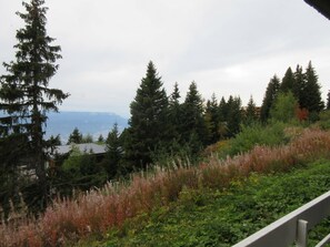 Uitzicht vanuit accommodatie