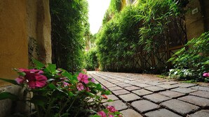 A narrow stone pathway flanked by lush greenery and flowering plants. - E3GG Travel the world (Paris)