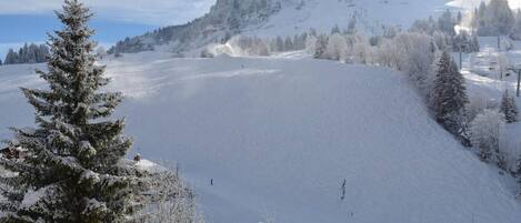 A snow-covered mountain landscape with a ski slope, trees, and a building in the foreground.