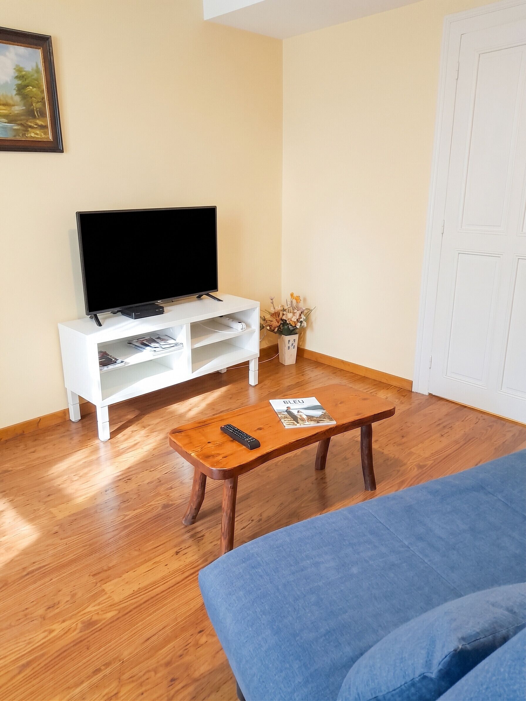 Fernseher