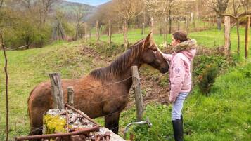 Una persona interactuando con un caballo cerca de una valla rústica y herramientas metálicas antiguas.