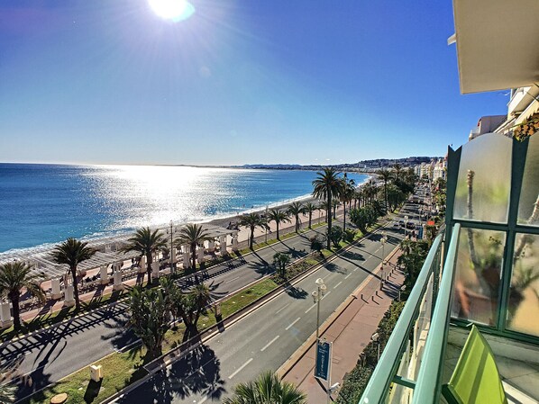 A coastal road with palm trees, a clear sky, and a view of the sea.