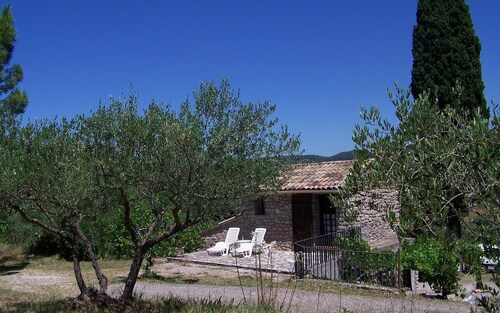 Le Cabanon de ma mère - LORGUES