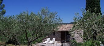 Le Cabanon de ma mère - LORGUES