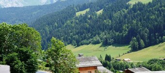Cozy studio for 4 in Le Grand-Bornand, near slopes, pets allowed