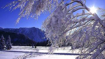 Deportes de invierno