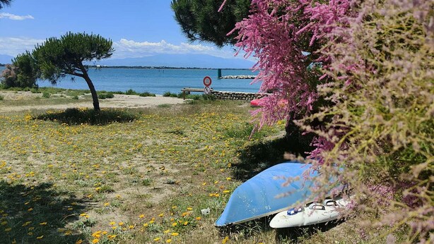A beach with a clear sky, a body of water, and a sign indicating no swimming. - Apt 4 rooms, 8 ppl, pool, tennis, parking included - Port Barcarès (Port Barcarès)