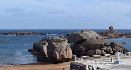 Charmante maisonnette bretonne à 100m de la mer avec jardin, terrasse et proximité centre Trégastel