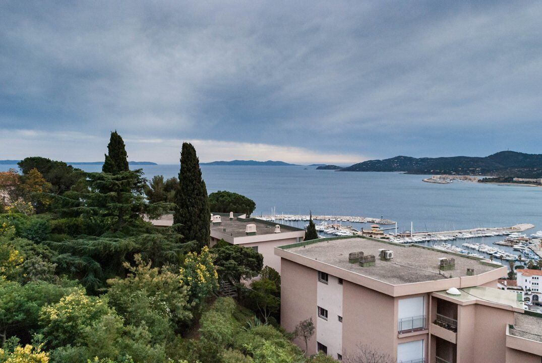 A coastal view with buildings, trees, and a marina.