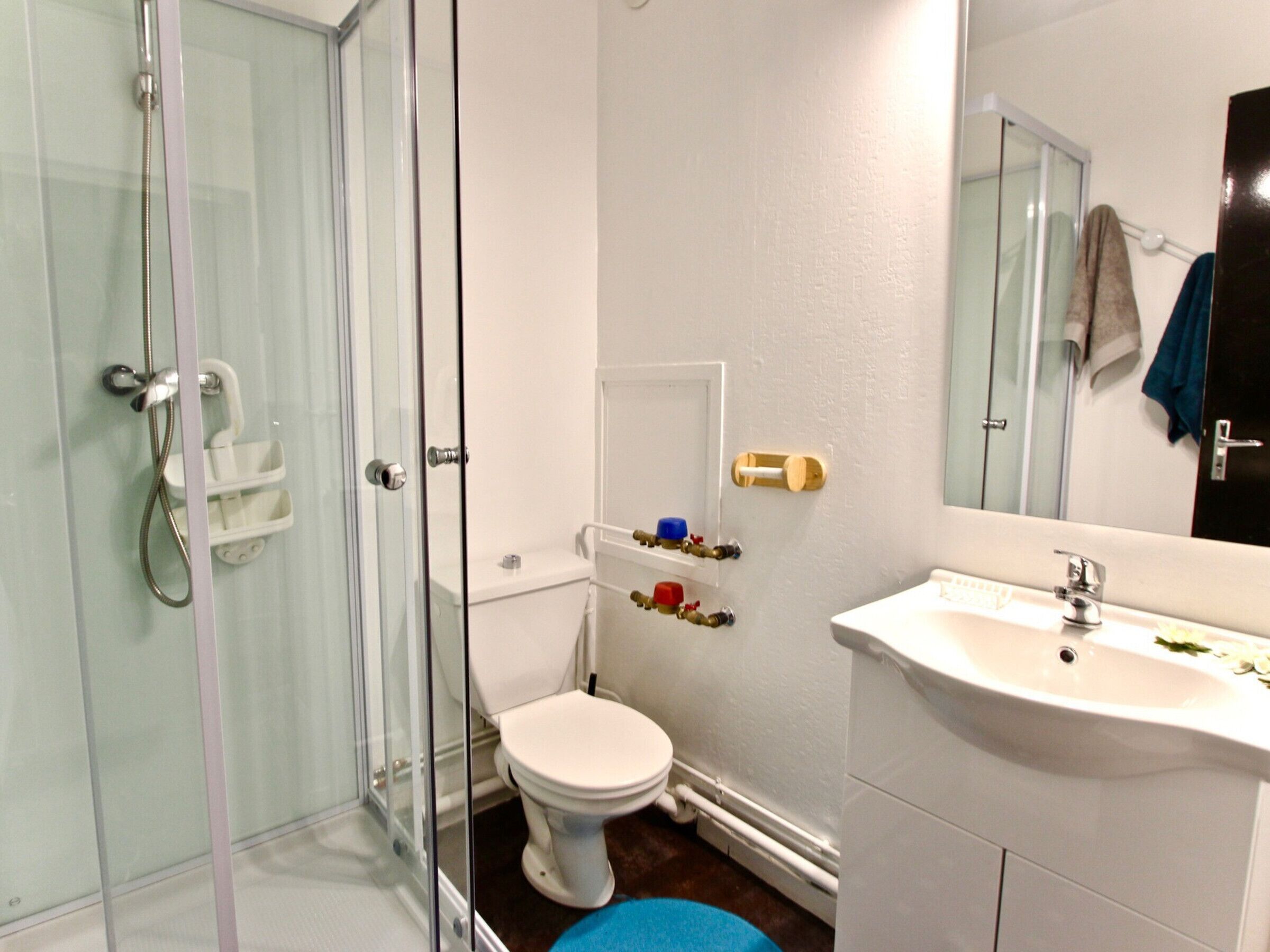A bathroom with a glass shower enclosure, a toilet, a sink, and a mirror.
