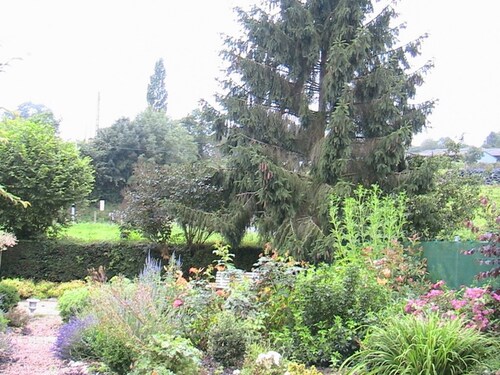 Charming house with enclosed garden, pets allowed