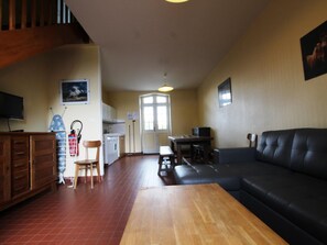 TV - Comfortable cottage with WiFi and pets allowed (Périers)