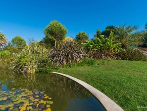 Terrain de l’hébergement 