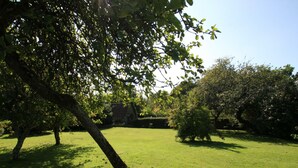 Een verzorgd gazon met bomen en een klein gebouw op de achtergrond.