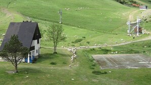 A rural landscape with a house, a tree, and a herd of sheep grazing. - Studio cabin for 4, covered parking, 50m from slopes (La Mongie)
