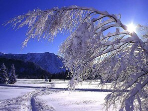 Snow and ski sports