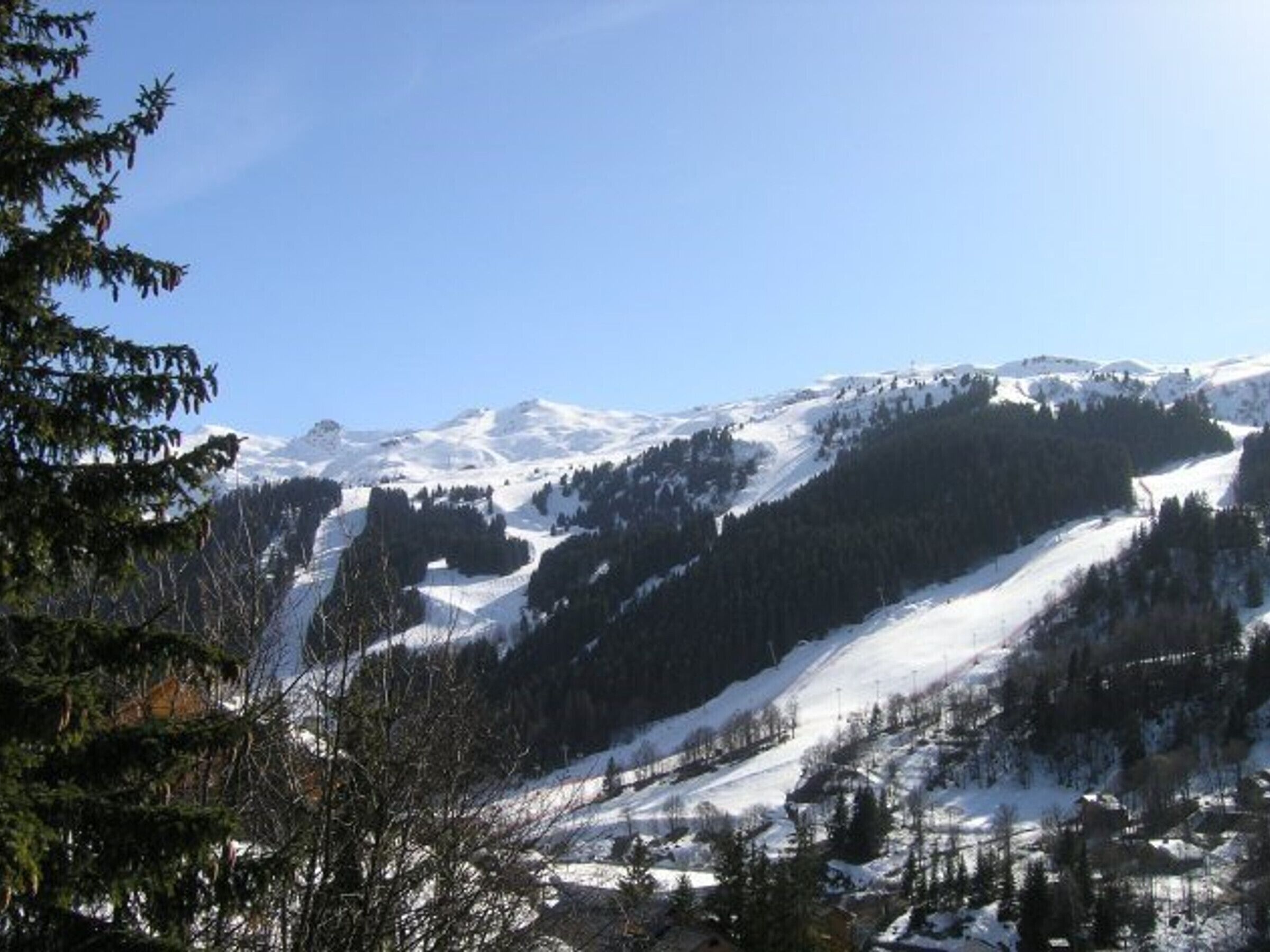 Eine gebirgige Landschaft mit schneebedeckten Hängen und dichten Wäldern.