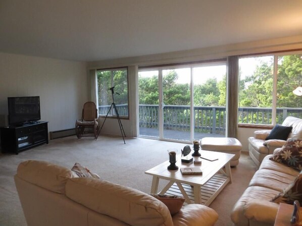 TV, ping pong, books