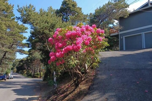 steep driveway