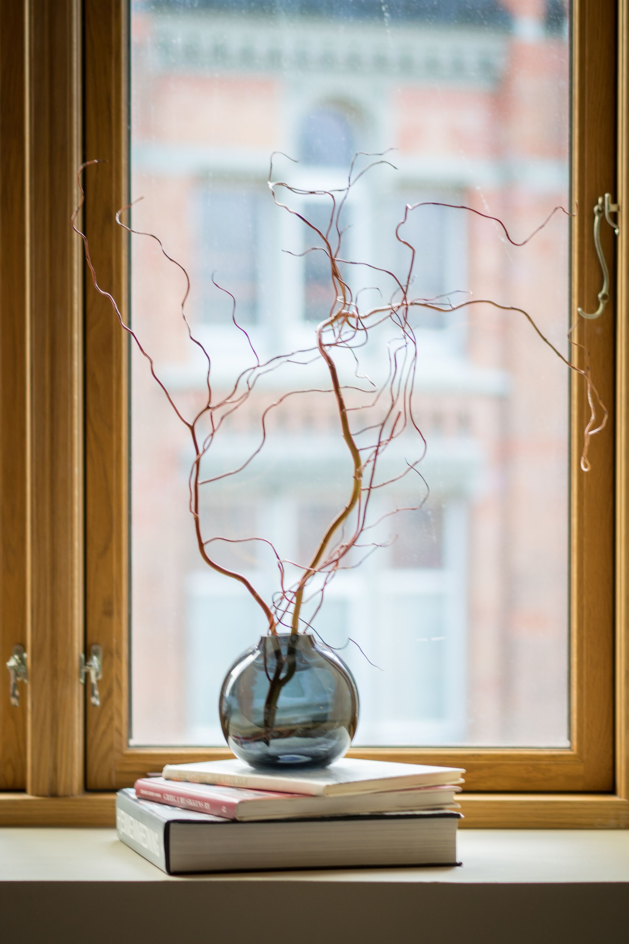 Vista clara de una ventana con marco de madera, un florero con ramas delgadas y una pila de libros sobre un repisa.